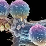 The effort to make a breakthrough cancer therapy cheaper